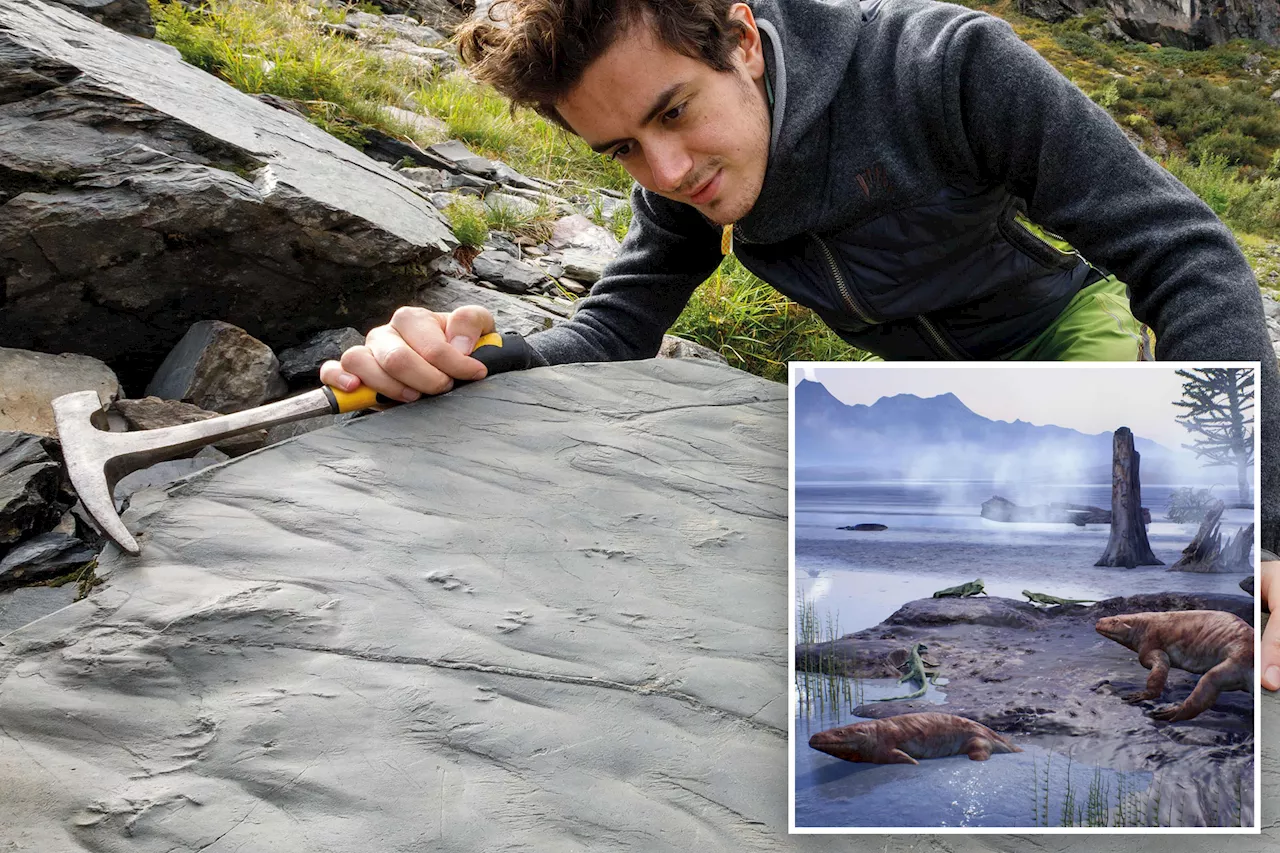 Hiker stumbles across 280-million-year-old footprints in Italian Alps in breakthrough discovery