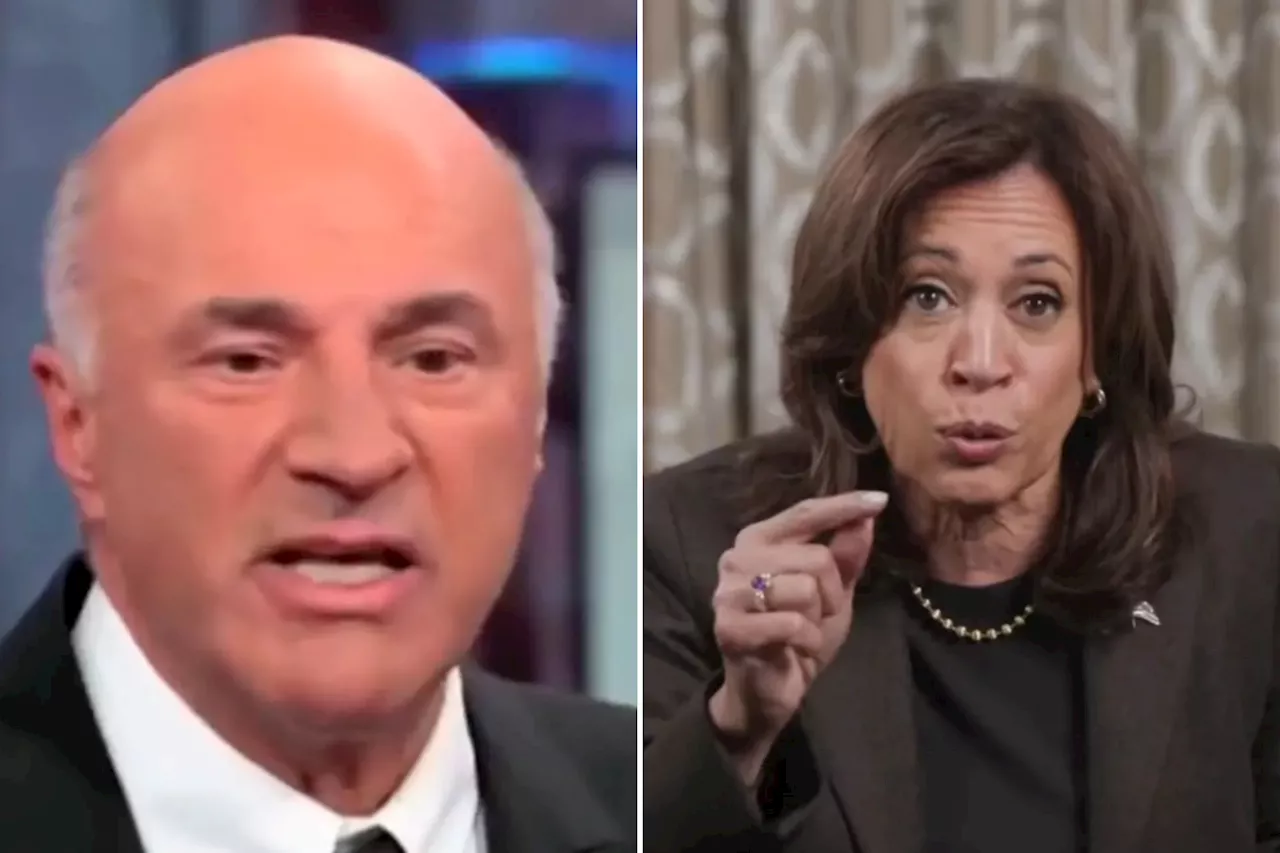 Kevin O'Leary Criticizes Kamala Harris as 'Broken Candidate'