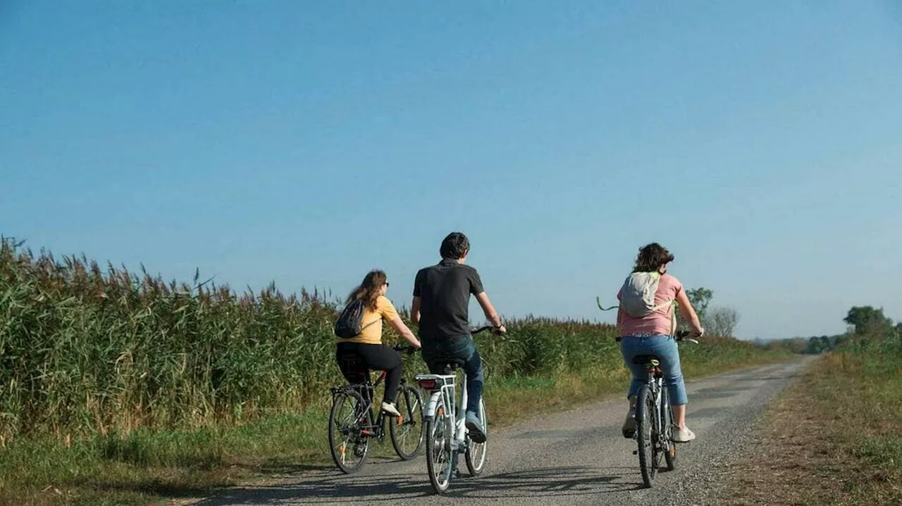 Une consultation publique pour une nouvelle liaison à vélo au nord-est de Nantes