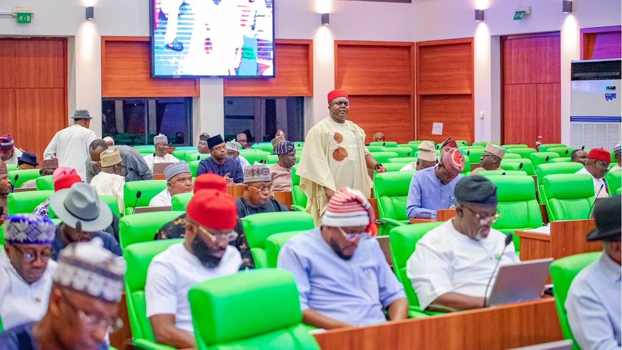 Nigerian Lawmakers Overlook PWD Needs Despite Renovation Spending