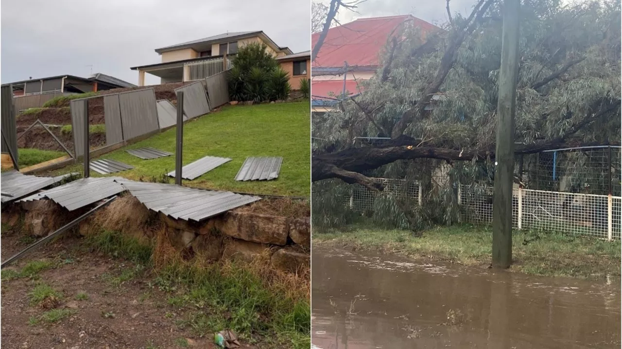 Wild Weather Topples Trees, Damages Homes in NSW; More Storms Expected