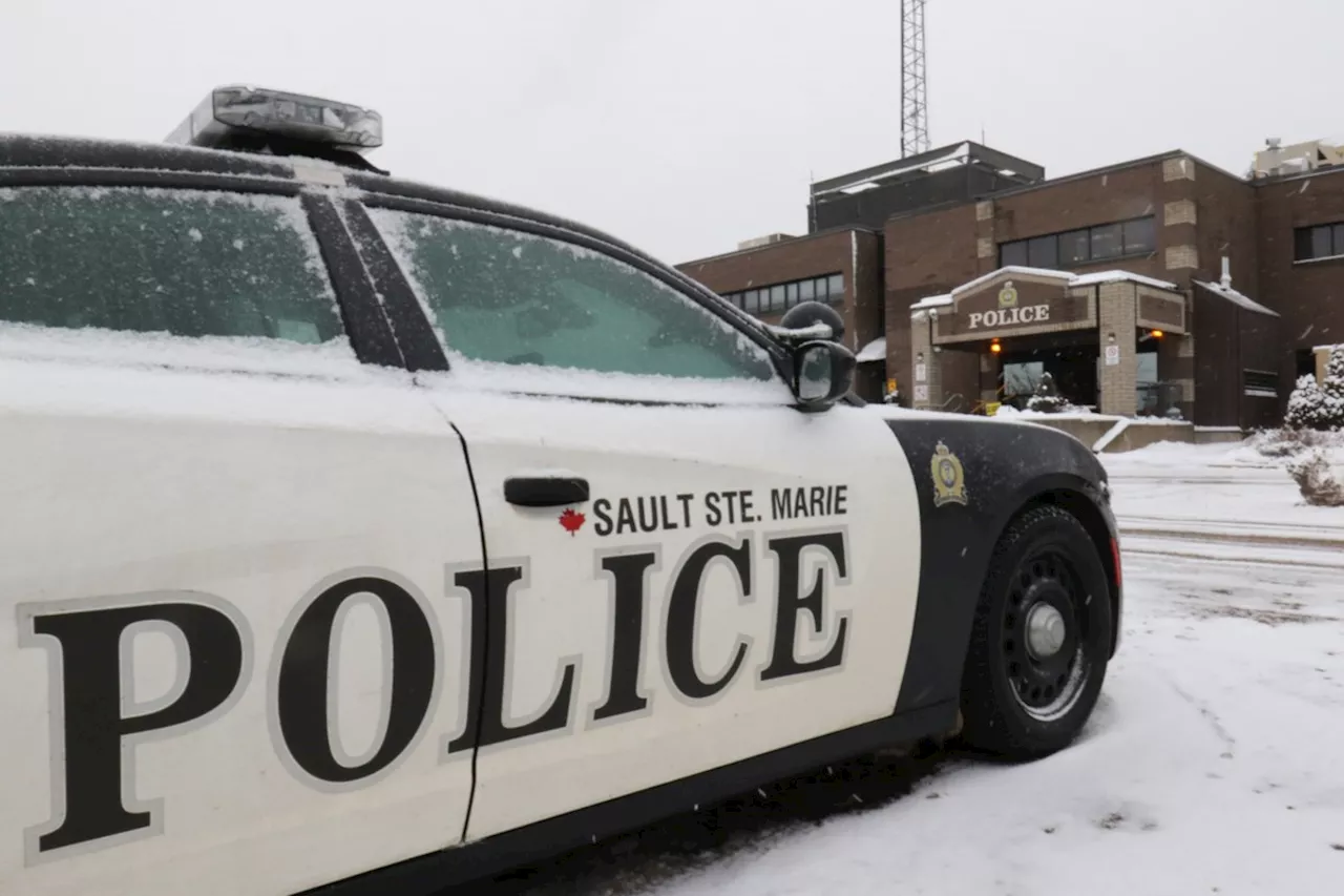 No kids on board school bus that collided with snowplow: Sault Police