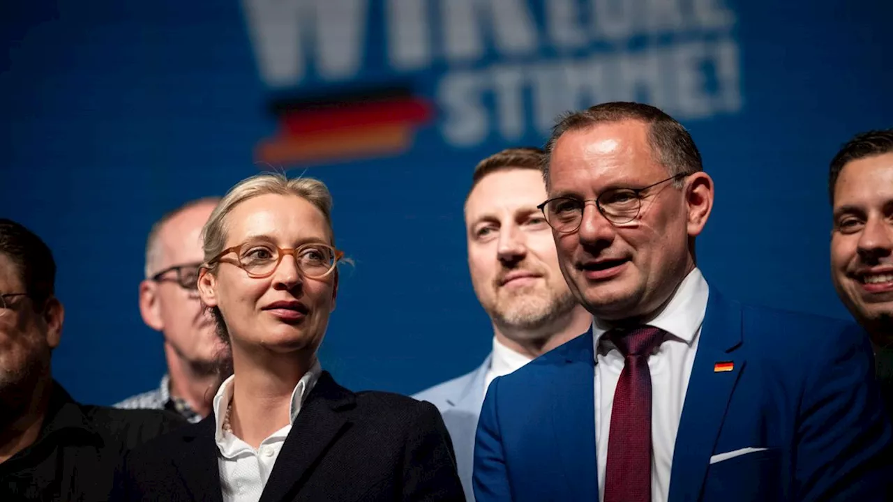 Entwurf für Neuwahlen: AfD drängt in Wahlprogramm auf EU-Austritt Deutschlands