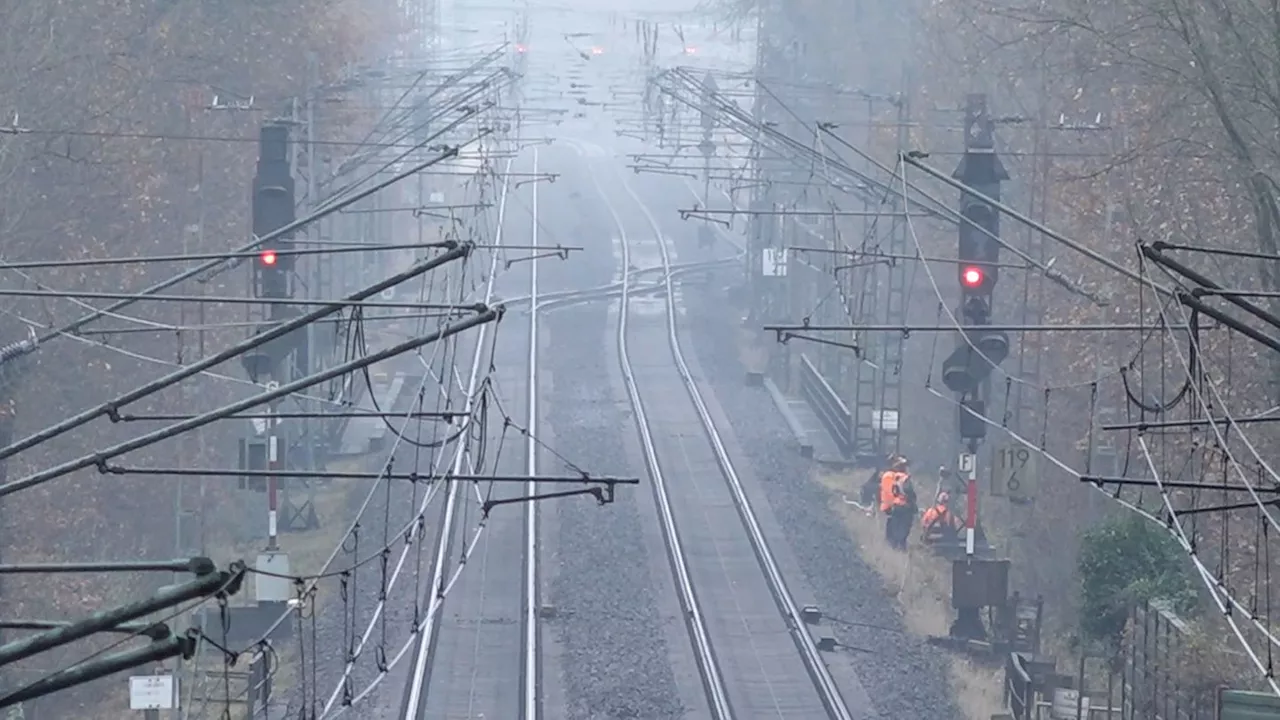 Bahn ab Hamburg: Erst Blitz, nun Baum: Zugverkehr stark eingeschränkt