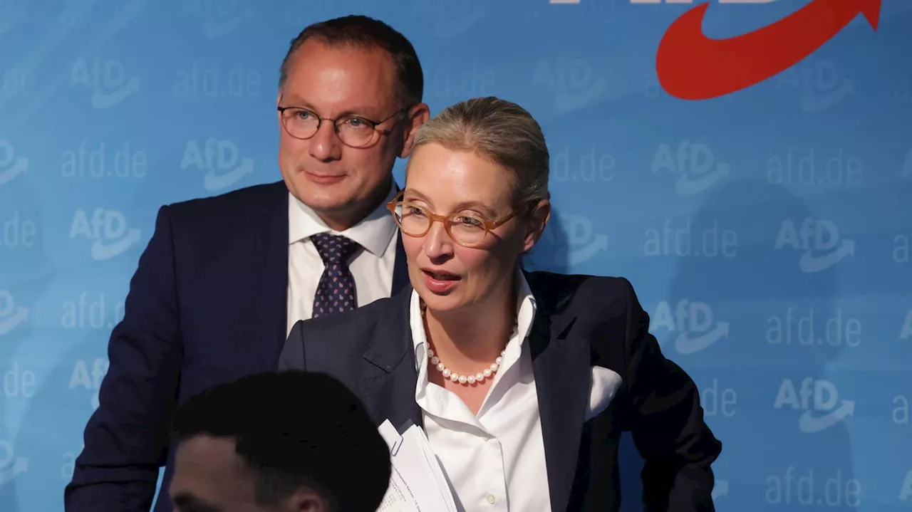 Wahlprogramm: AfD will Abtreibungen weitestgehend einschränken