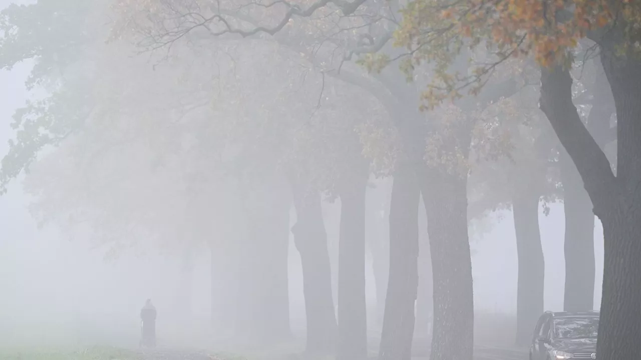 Wetter: Advent, Advent, der Nebel hängt: Trübes Wochenende in Bayern