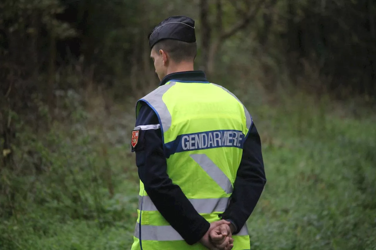 Loire-Atlantique : le corps d’un nourrisson retrouvé dans un étang près de Nantes