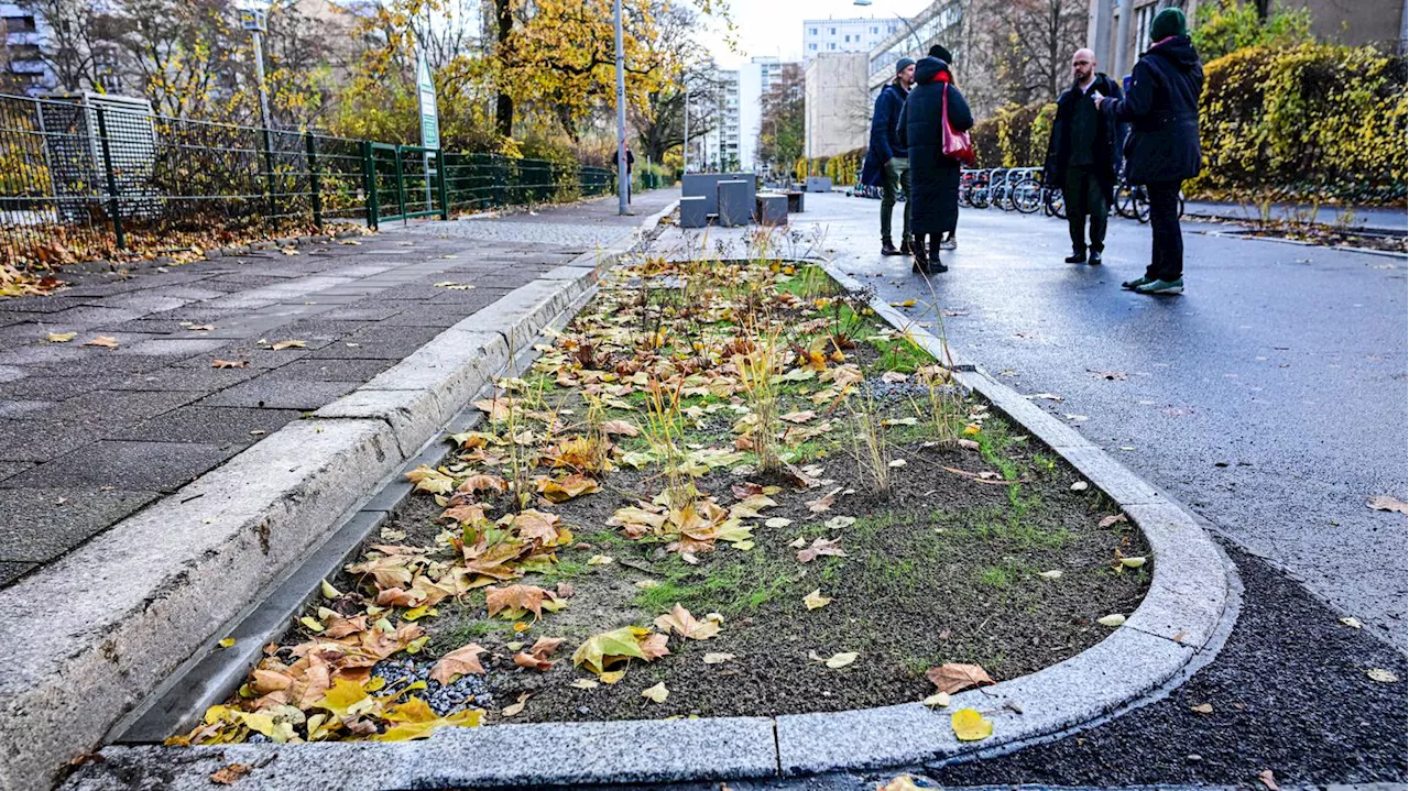 Parkplätze fallen weg: Erste „Grüne Gullys“ in Berlin-Mitte fertiggestellt