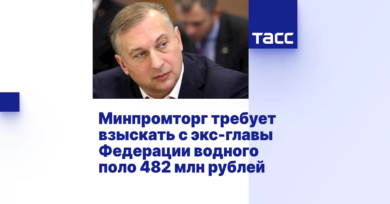 Минпромторг требует взыскать с экс-главы Федерации водного поло 482 млн рублей