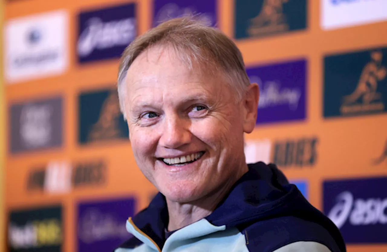 Joe Schmidt Named Australia Rugby Head Coach