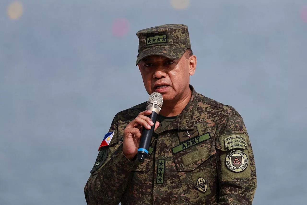 No need for red alert, AFP chief says