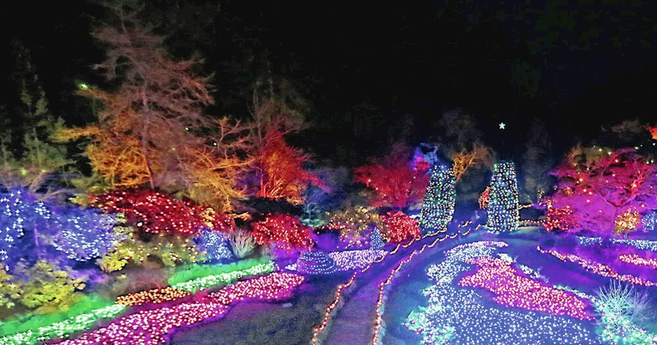 Butchart Gardens to Kick Off Holiday Season with Light-Up Ceremony