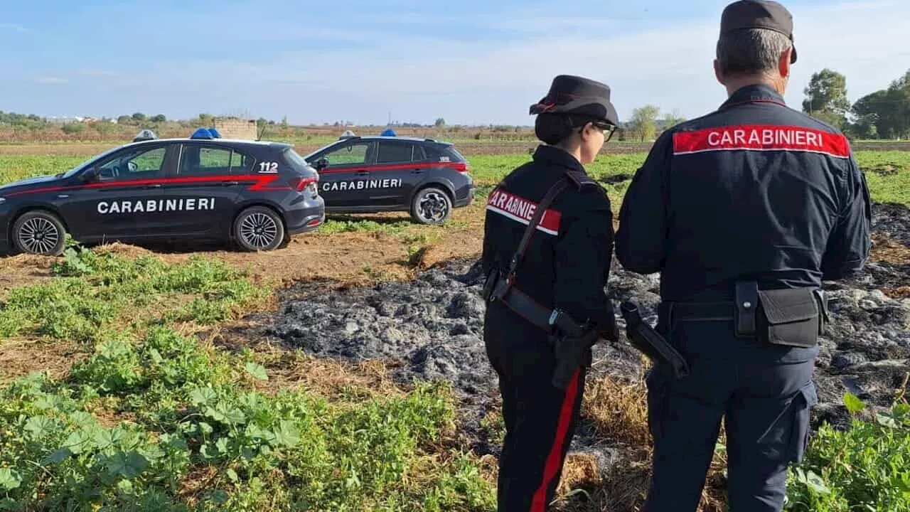 I residenti lamentano un odore insopportabile: i carabinieri scoprono 140 metri cubi di letame bruciato