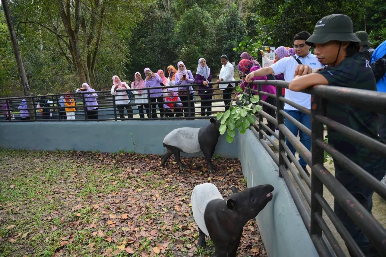 Sabak Bernam Karnival Ban Canal Boosts UNESCO Biosphere Reserve Awareness