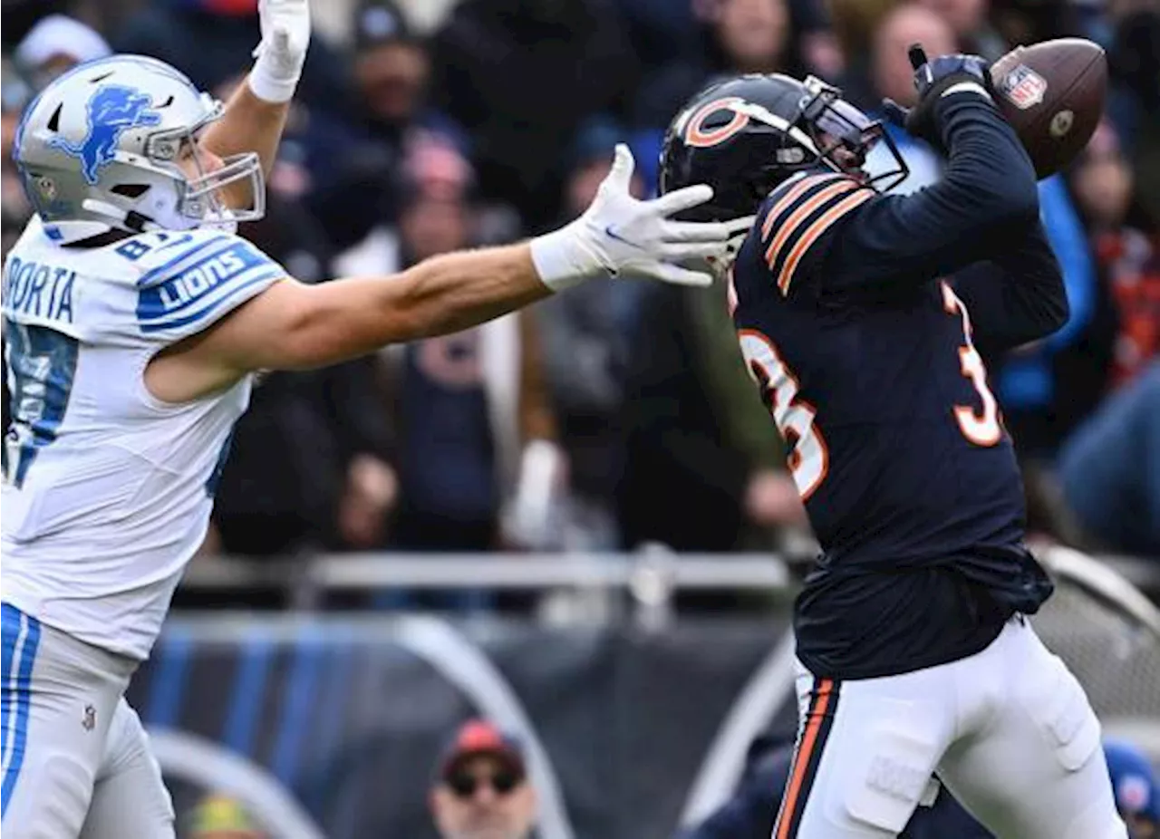 NFL Thanksgiving 2024: Bears vs Lions, ¿por quién apostar?