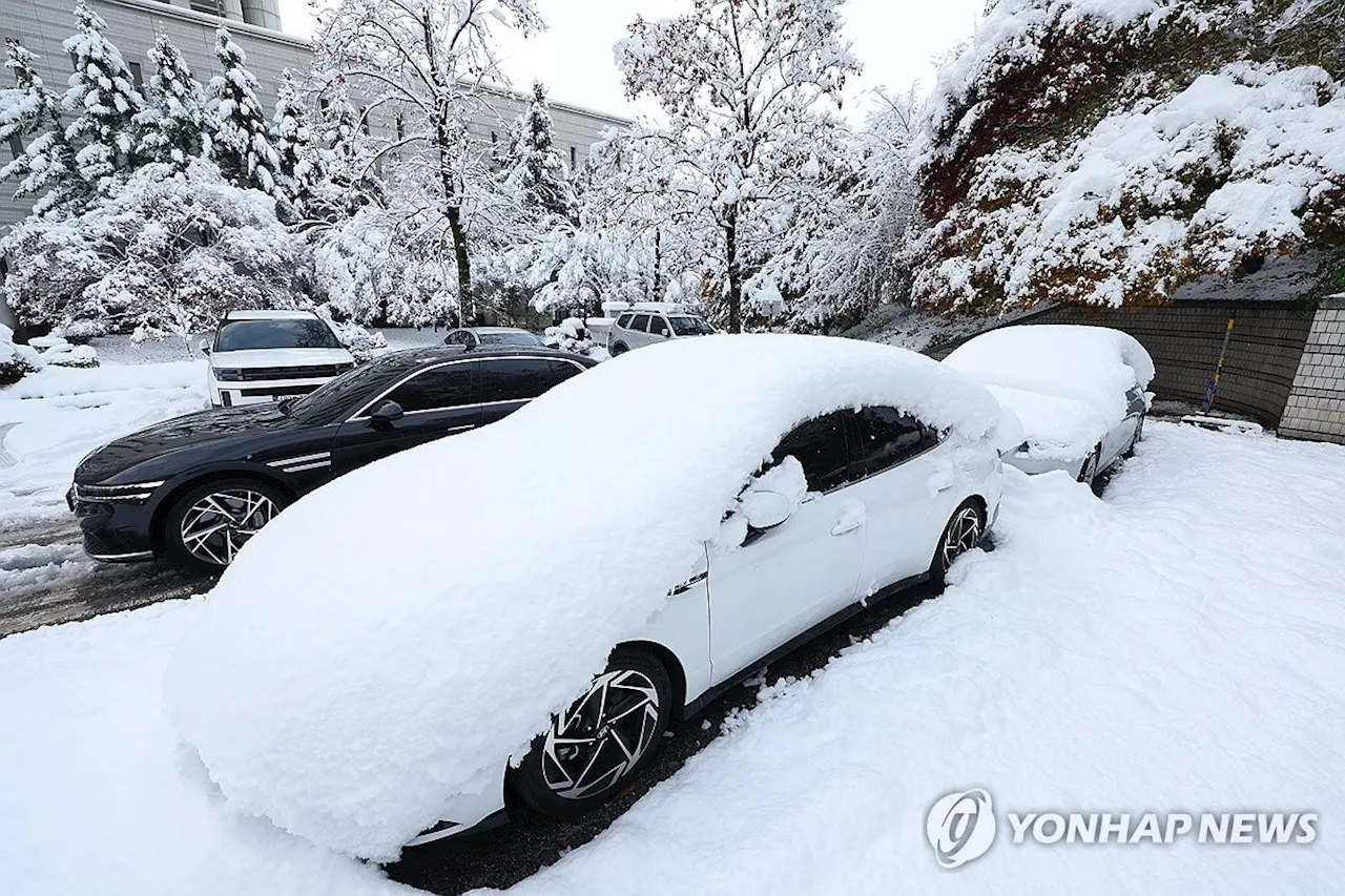 폭설에 늦어져…택배·배달, 수수료·서비스 축소 대책 분주(종합)