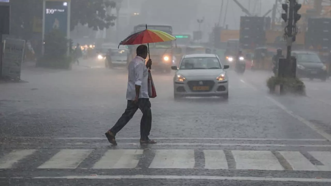 Cyclone Fengal Updates: IMD Alerts For Heavy Rain In Tamil Nadu; Flight Disruptions Continue