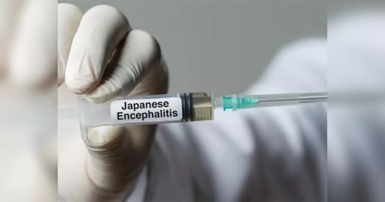 Japanese Encephalitis: दिल्ली में जानलेवा जापानी इंसेफेलाइटिस की इंट्री, जानिए इस बीमारी के बारे में सबकुछ