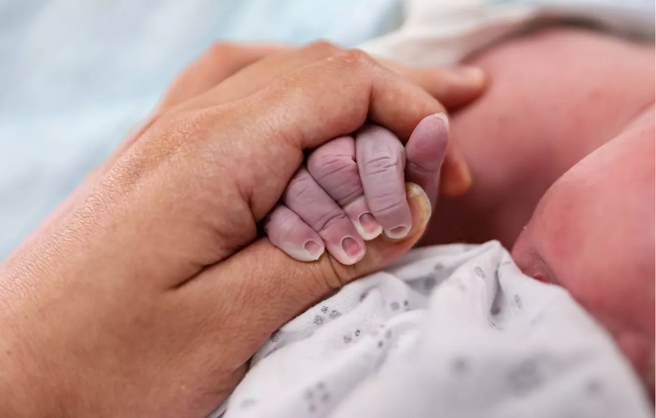 A terre, en mer ou dans les airs, ces bébés sont nés dans des endroits étonnants