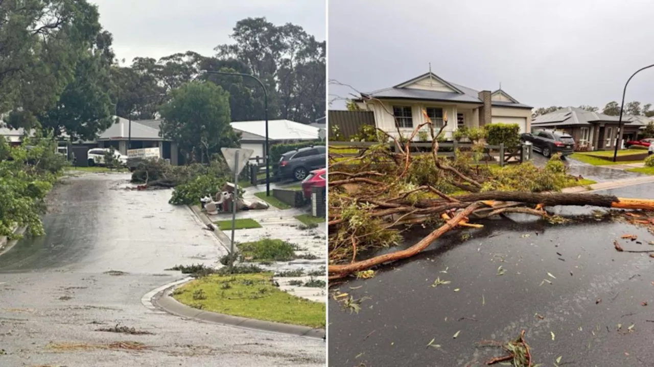 Severe storms batter NSW and Queensland, leading to flash flooding and widespread damage