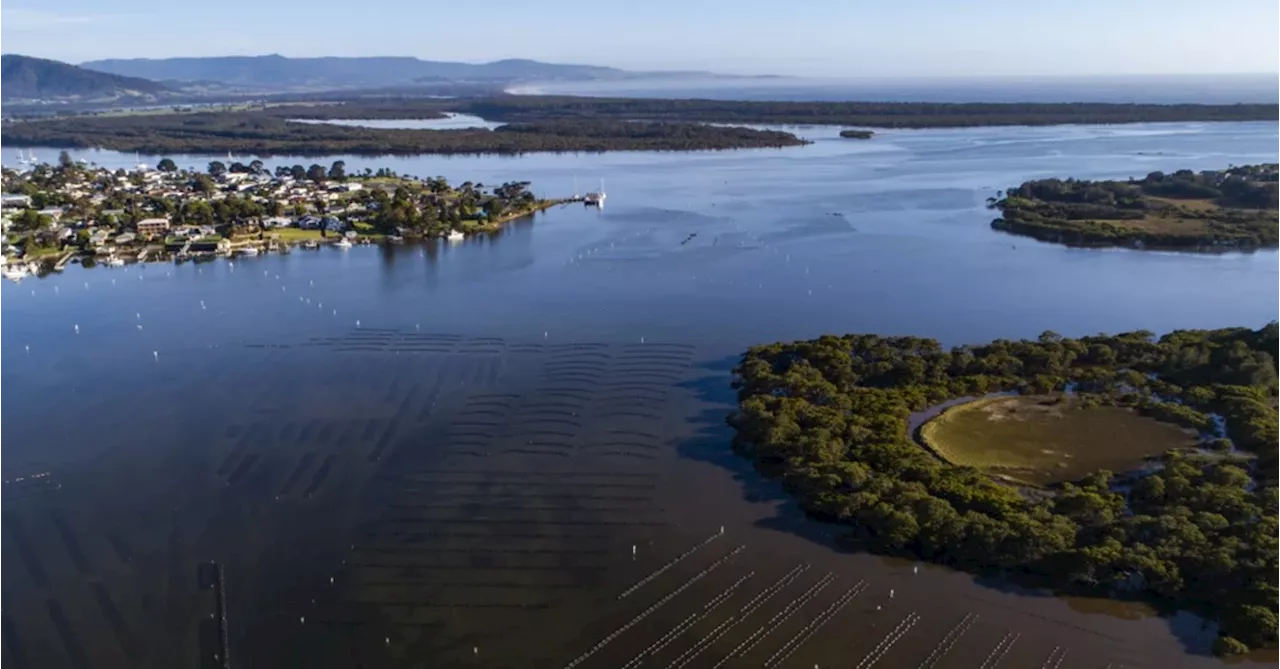 Red Alert Issued for Shoalhaven River Due to Toxic Algae