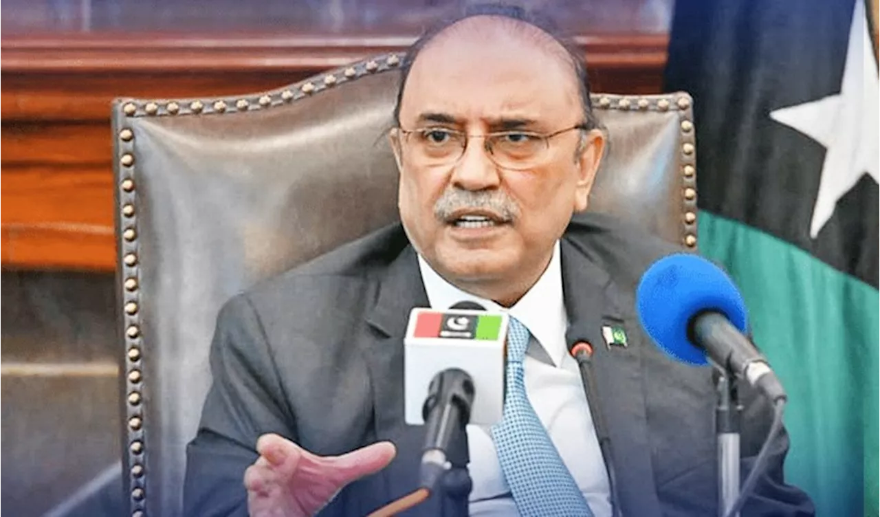 Zardari Reaffirms Pakistan's Support For Palestinian Rights On International Day Of Solidarity