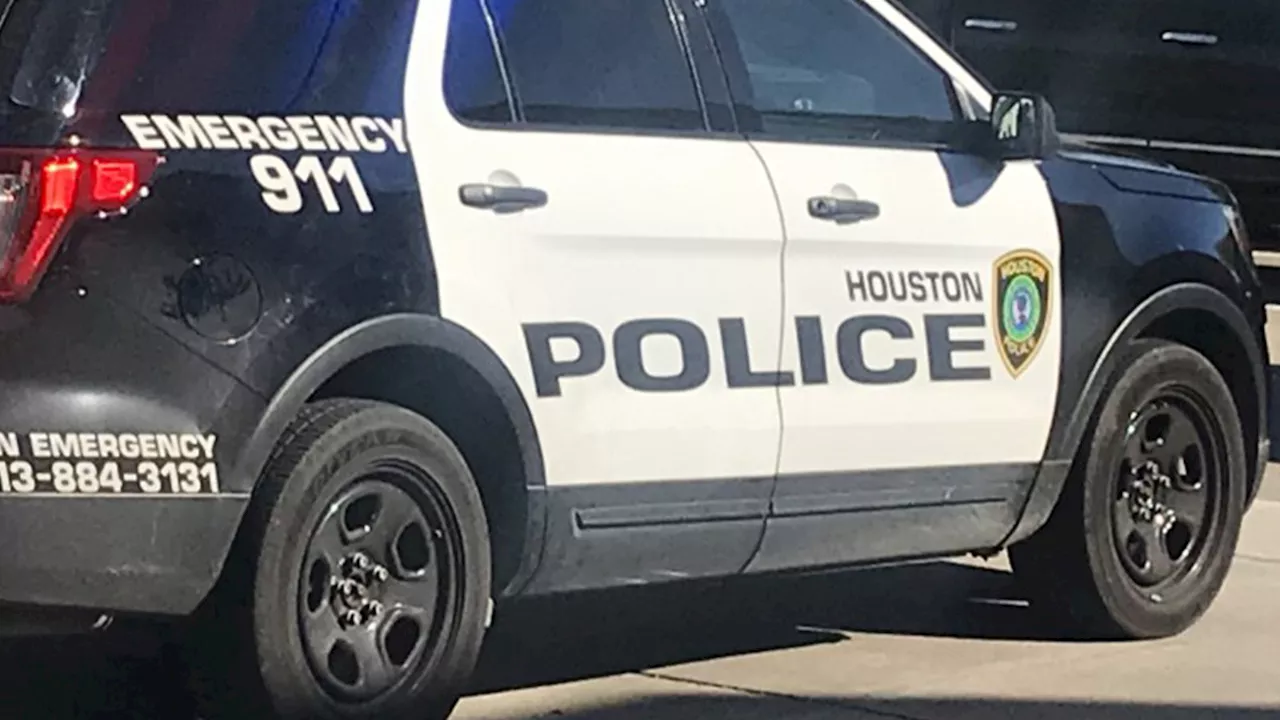 Man in custody, charged after allegedly confessing to partner's murder, HPD says