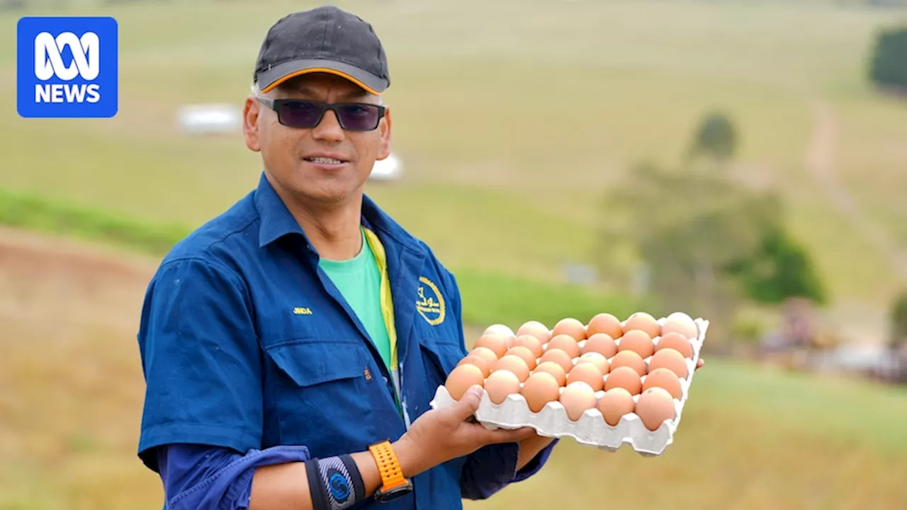 Finniss chicken farm changing lives for people living with disability in SA