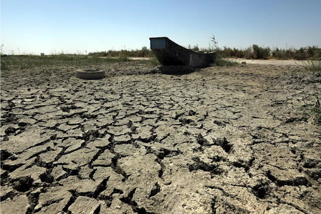 Cop16 sulla desertificazione a Riad dal 2 al 13 dicembre