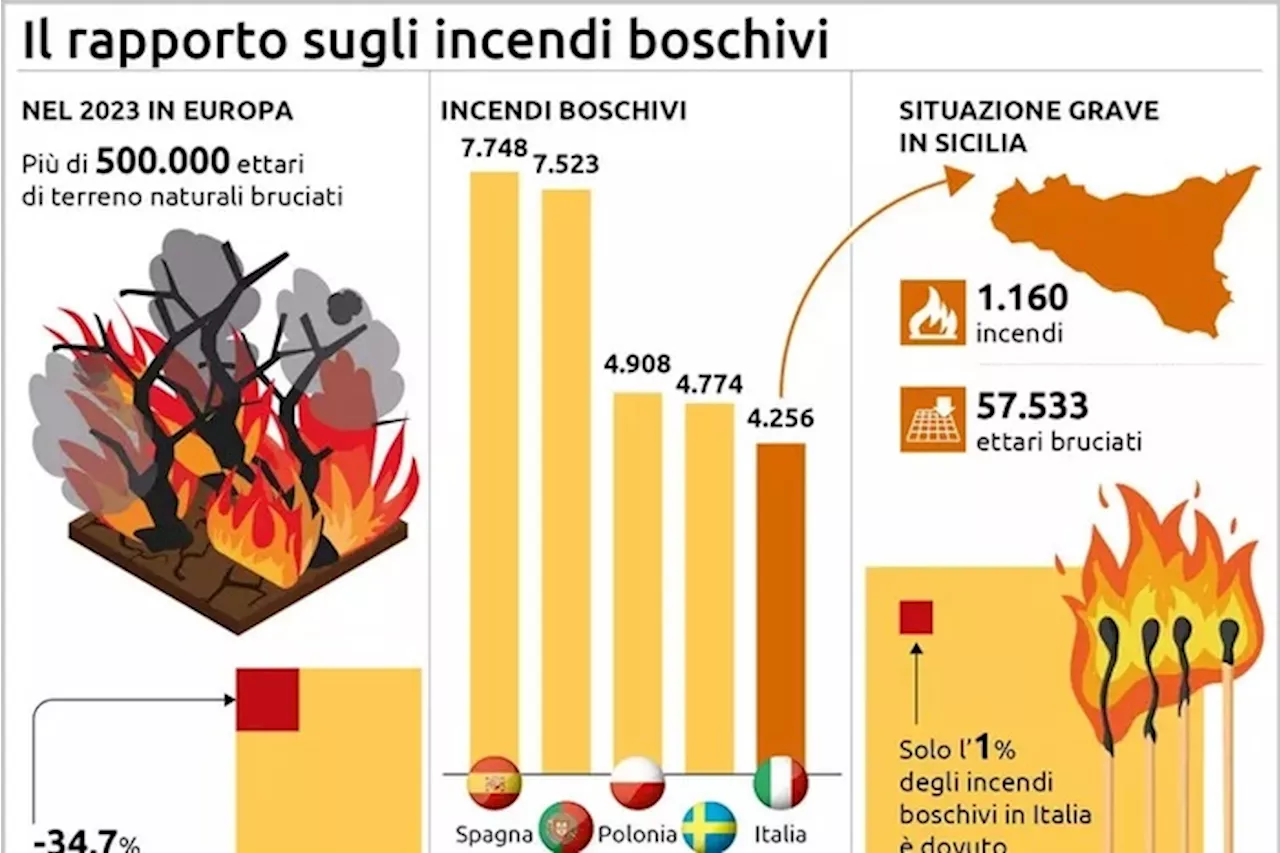 In Italia numero roghi in calo, ma sono più devastanti