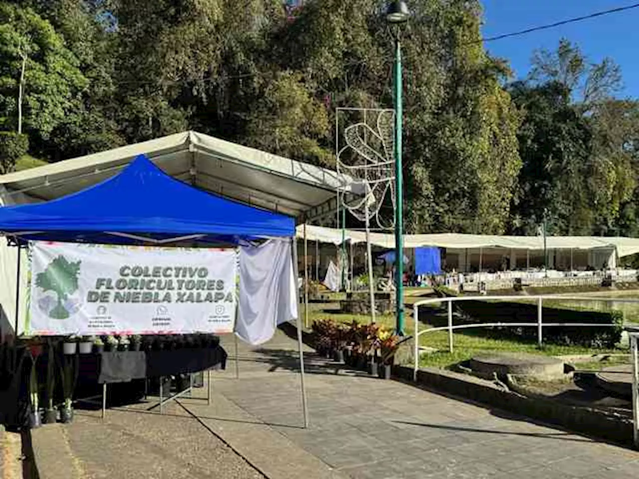 Colectivo de Floricultores de Niebla invita a expoventa, en Xalapa