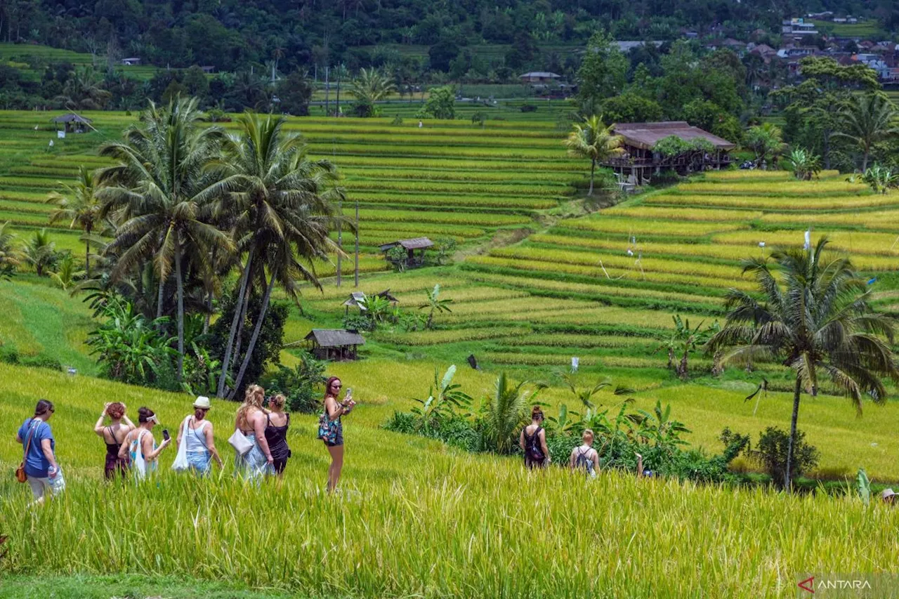 Berita Terkini: Pariwisata Bali, Film 'Women from Rote Island', dan Artis Rahayu Effendi