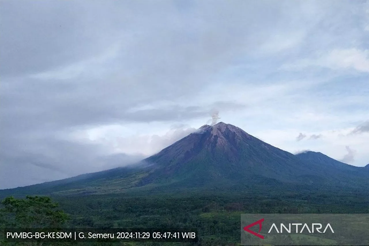 Gunung Semeru Terjadi Erupsi dengan Letusan Setinggi 800 Meter