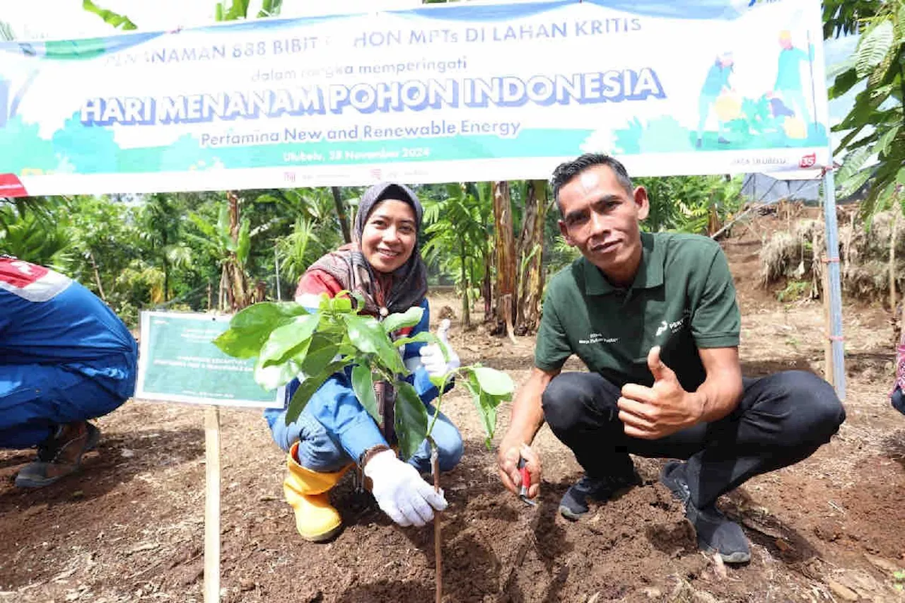 Hari menanam pohon Indonesia, Pertamina NRE tanami lahan kritis