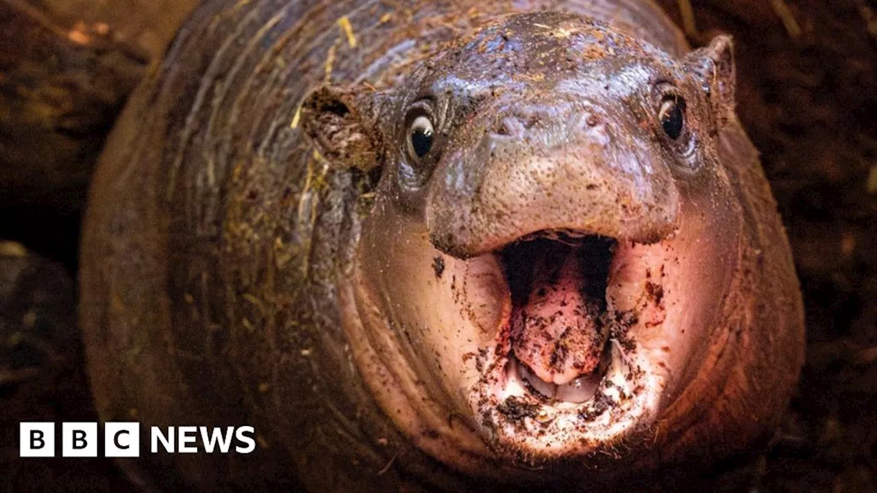 Your pictures of Scotland: Photographs from around the country