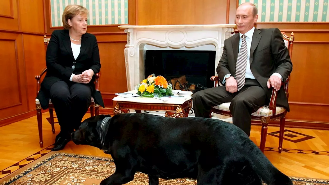 Angst vor Putins Hund: Angela Merkel und die unvergessliche Begegnung in Sotschi