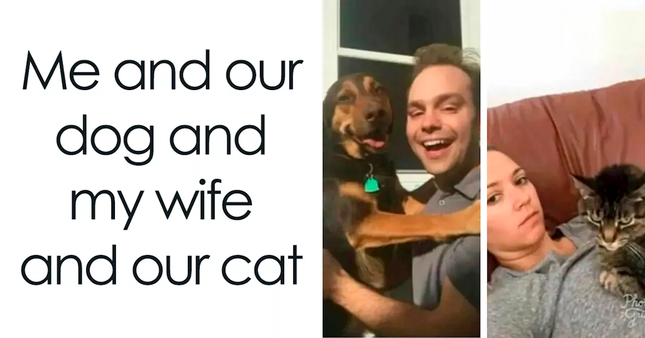 50 Dog Memes That Are Adorable And Funny At The Same Time