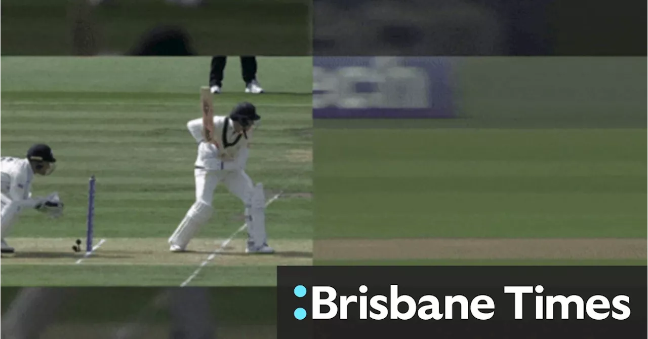 Glenn Phillips' Spectacular Fielding at Gully in Cricket