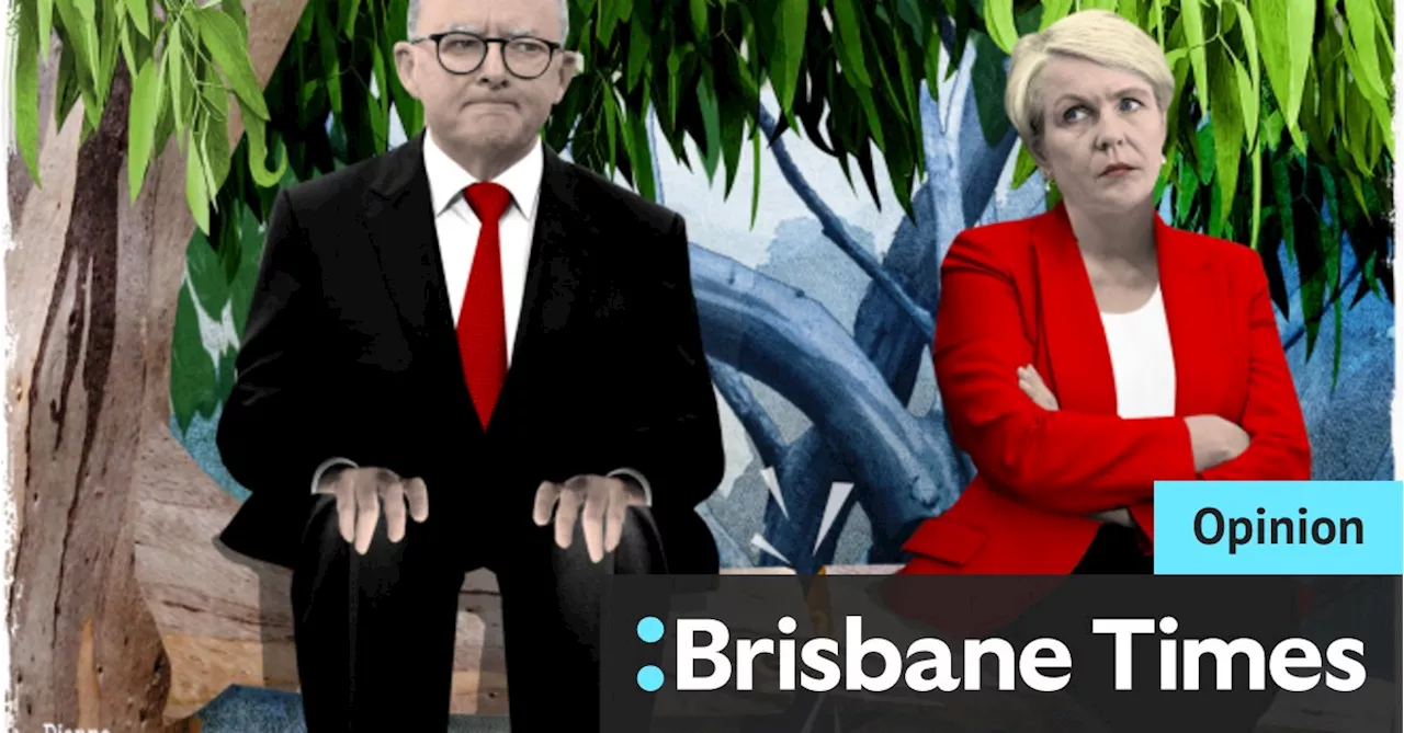 How Albanese threw Plibersek – and the rest of us