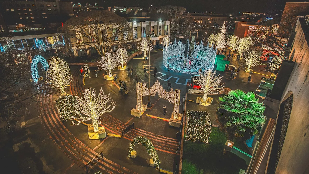 Lights of Wonder returns to Victoria this weekend with Ferris wheel, 360-degree camera