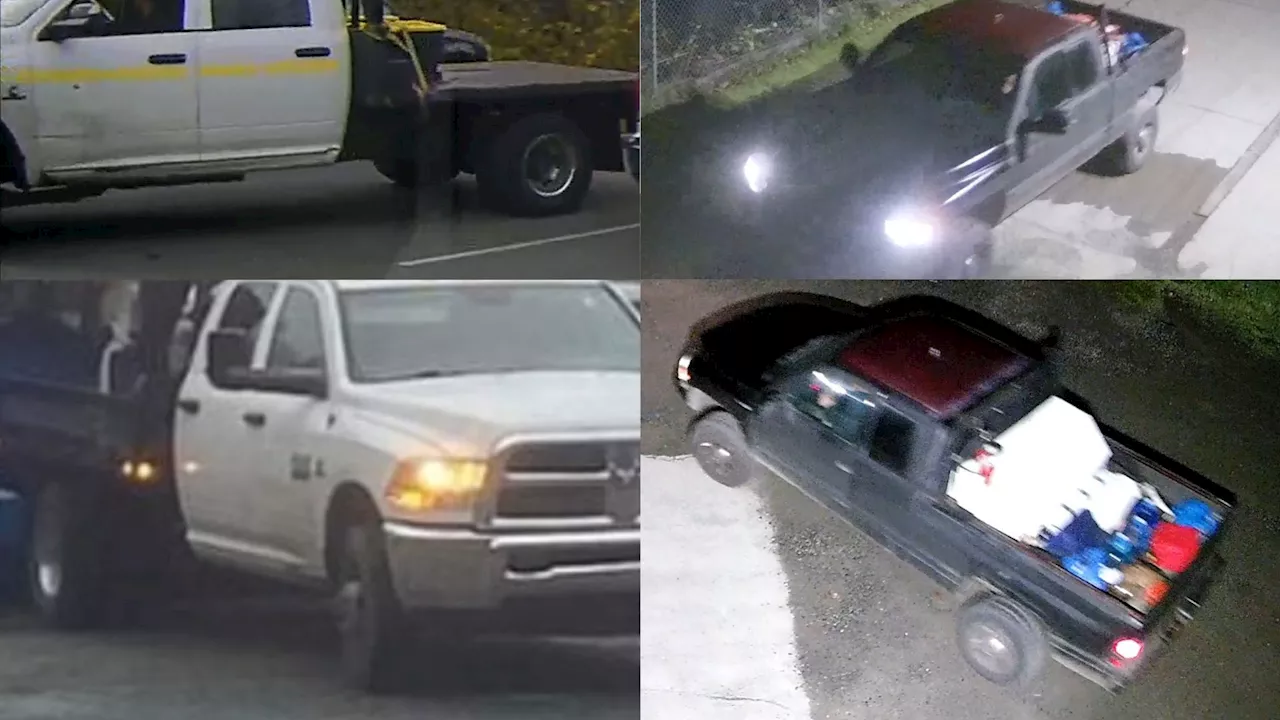 West Shore RCMP Seeking Public Help in Stolen Truck Investigation