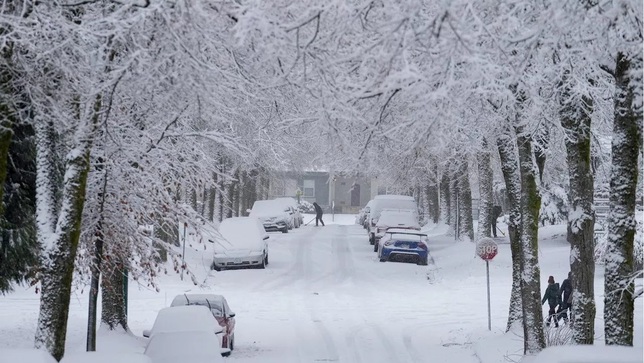 Winter storm watch issued as snow, heavy rain expected for B.C. coast