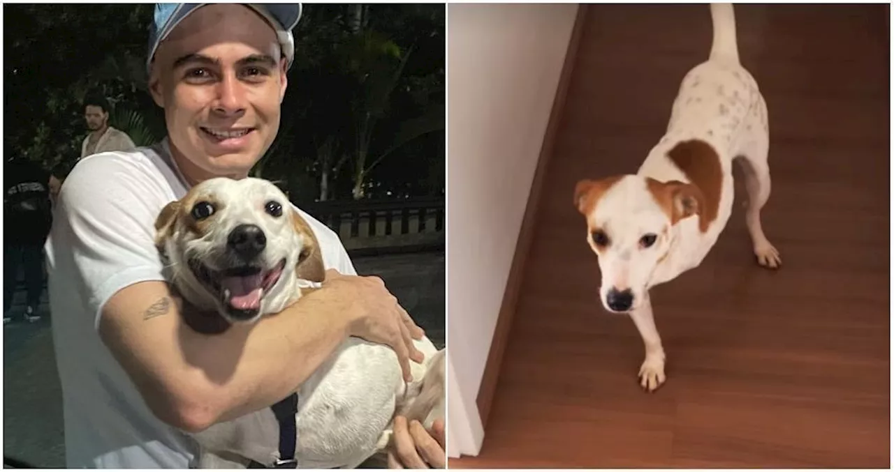 Tatá Werneck e Rafa Vitti Adotam Leôncio, um Cão com Ferimento na Pata