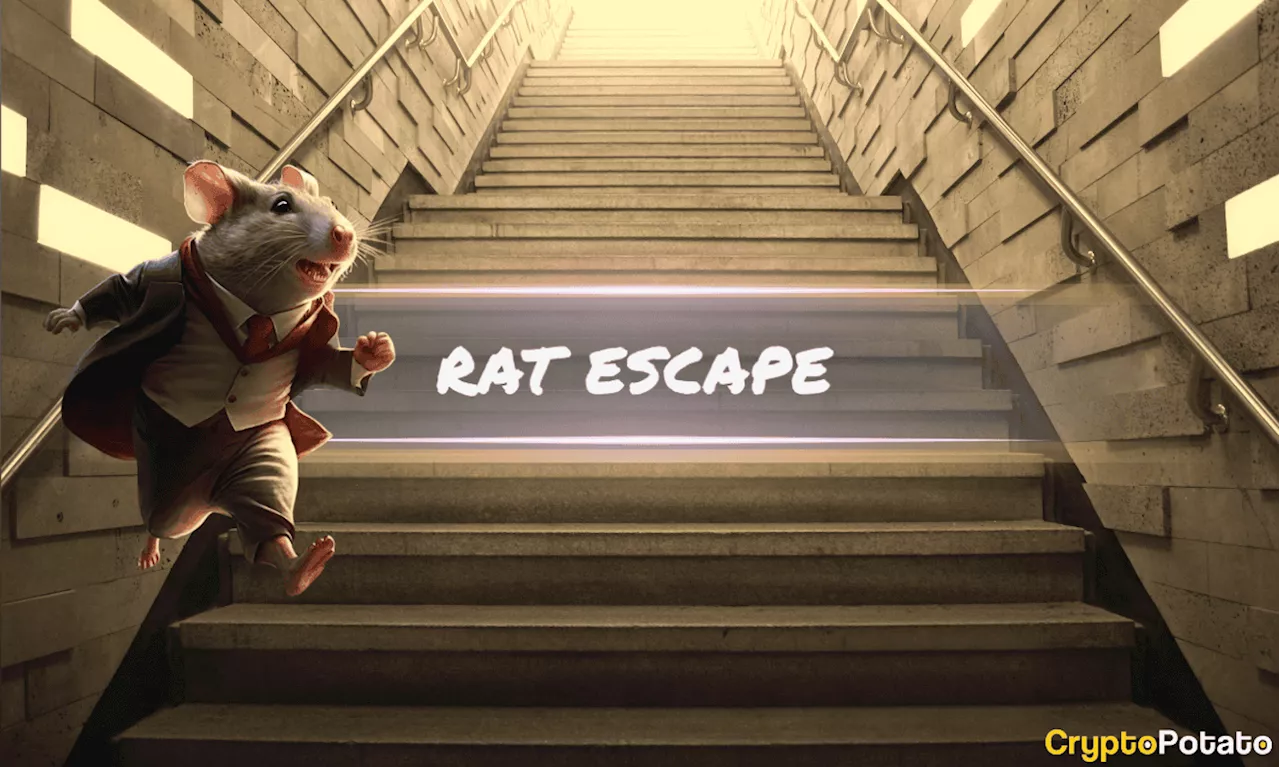 Viral Meme Coin Rat Escape (RAT) Launches with 1,000 Holders in Days