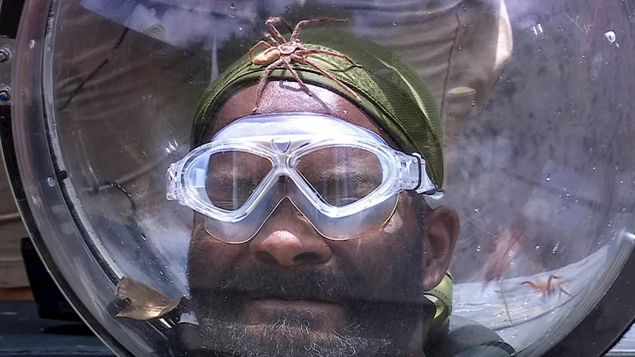 I'm A Celebrity's Melvin Odoom Replaces Barry McGuigan in Frightening Bushtucker Trial