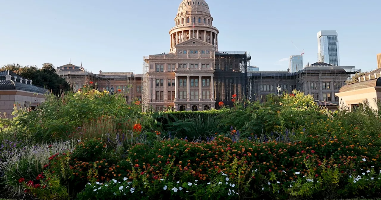 Texas grants would boost grid by building backup power, but questions remain