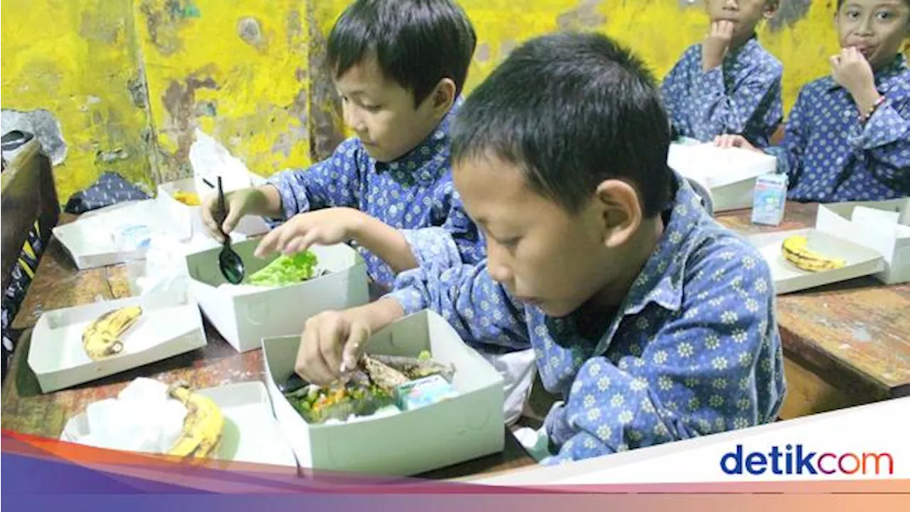 BUMN Ini Uji Coba Program Makan Bergizi Gratis Pakai Menu Ikan