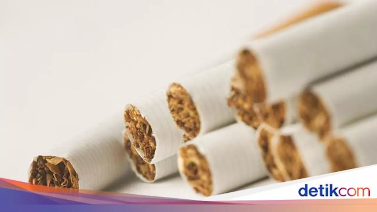 Siap-siap! Bea Cukai Mau Umumkan Kenaikan Harga Jual Eceran Rokok