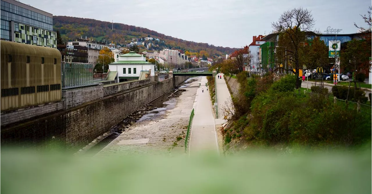 Auhof-Becken in Wien: Wehrmauern werden gesaniert und erhöht