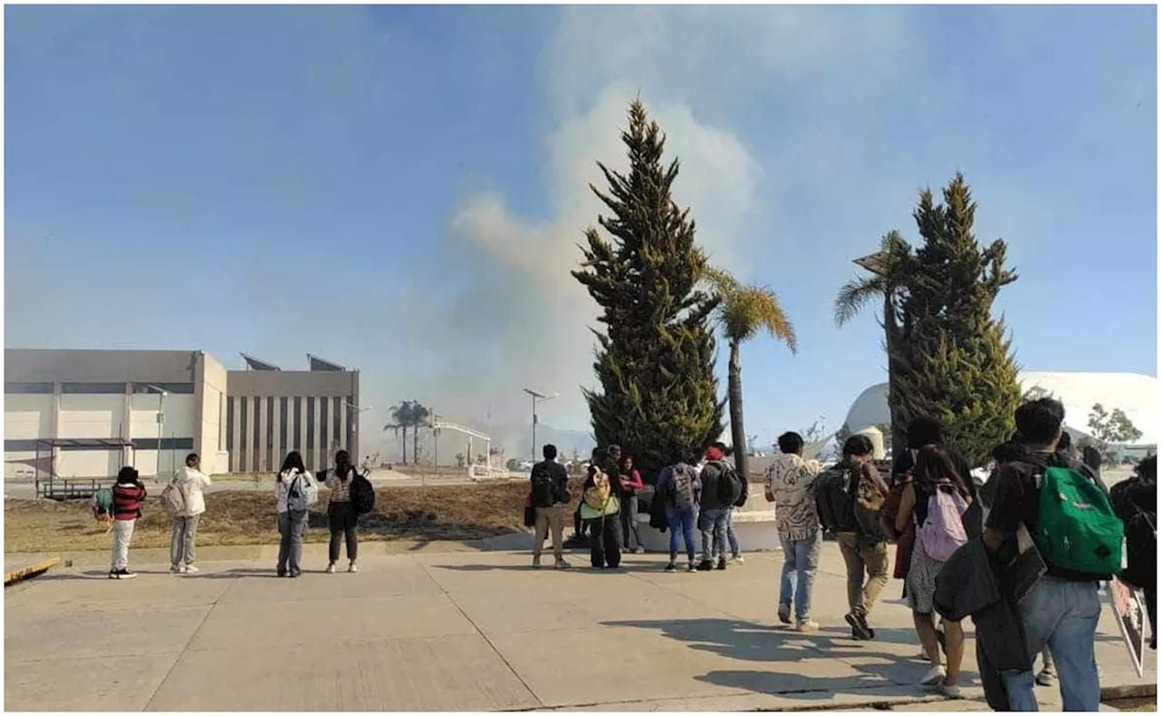 Incendio en Zona de Pastizales Cerca de la Universidad de Tolcayuca, Hidalgo